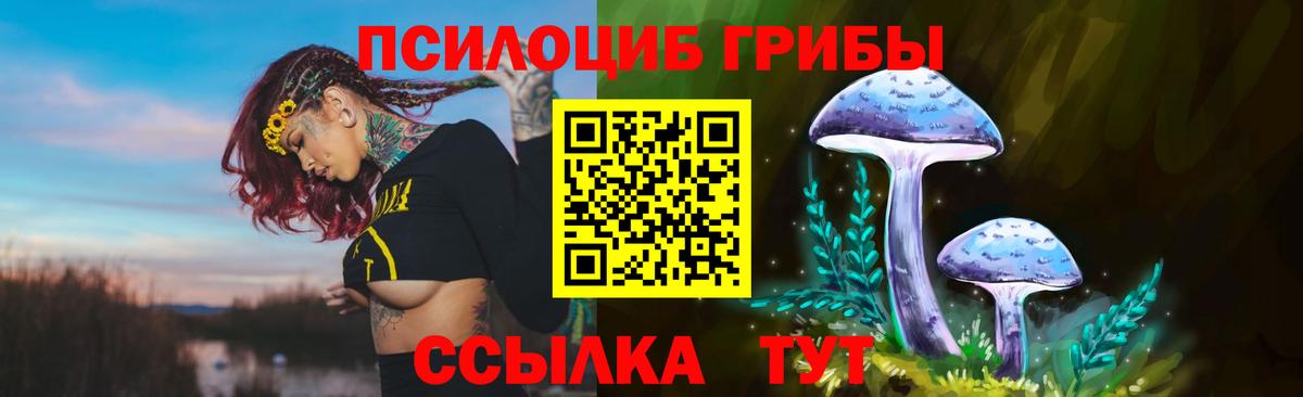 Псилоцибиновые грибы Psilocybine cubensis  Вход с VPN  Киселёвск 